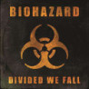 DIVIDED WE FALL
