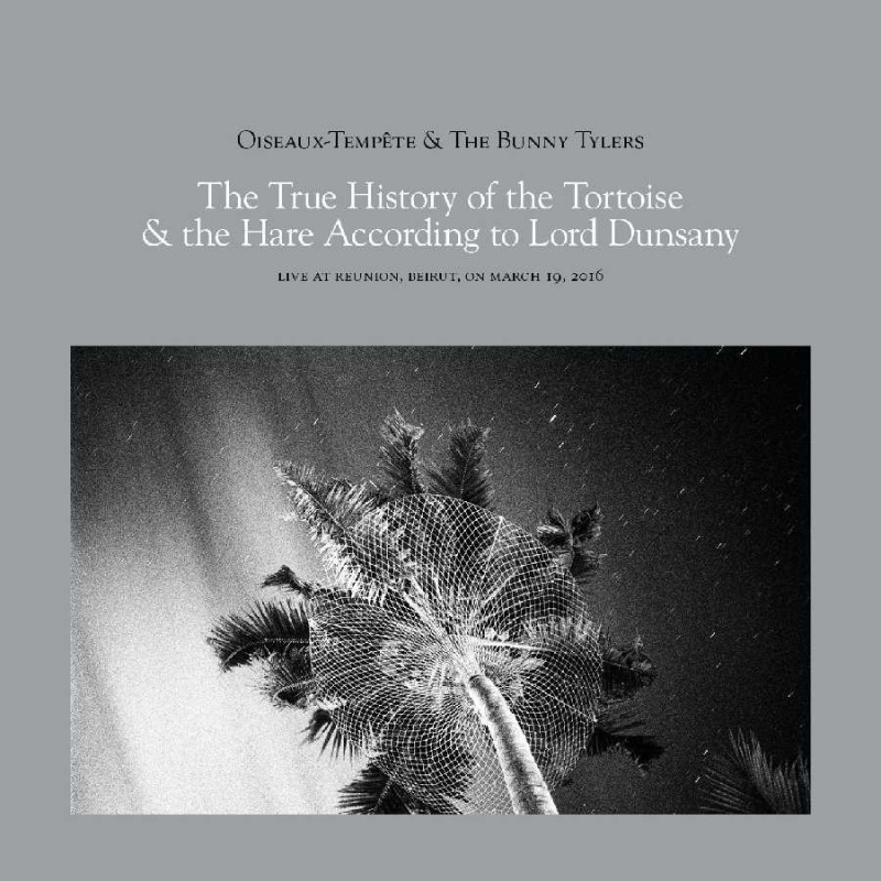 TRUE HISTORY OF THE TORTOISE & THE HARE
