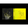 ANIMISTIC RESONANCE (CLEAR YELLOW VINYL)