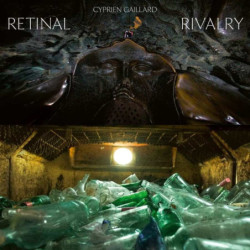 RETINAL RIVALRY (PICTURE DISC)