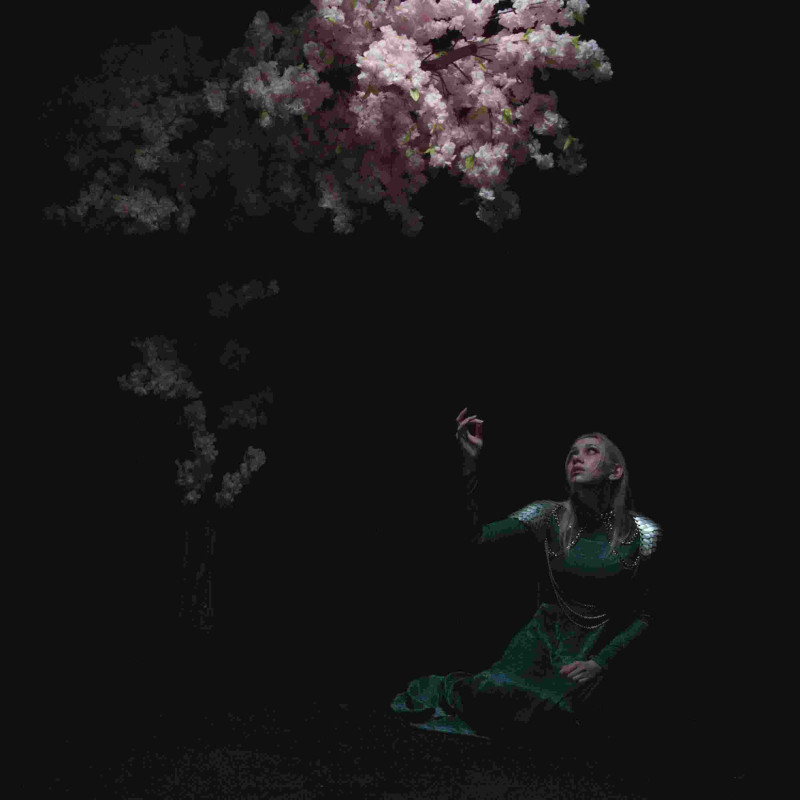 AS THE LIGHT LEFT