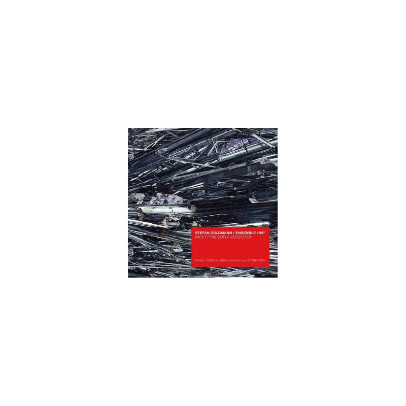 INPUT (THE SOFIA VERSIONS)