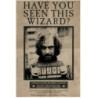 HARRY POTTER: PYRAMID - WANTED SIRIUS BLACK (POSTER MAXI 61X91,5 CM)