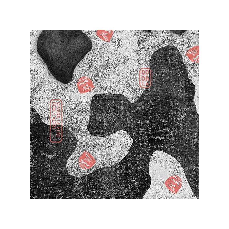 VIVERE LE VITE DEGLI ALTRI