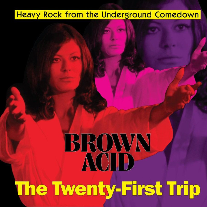 BROWN ACID - THE TWENTY-FIRST TRIP