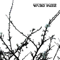 MAXIMUM MONEY MONSTER