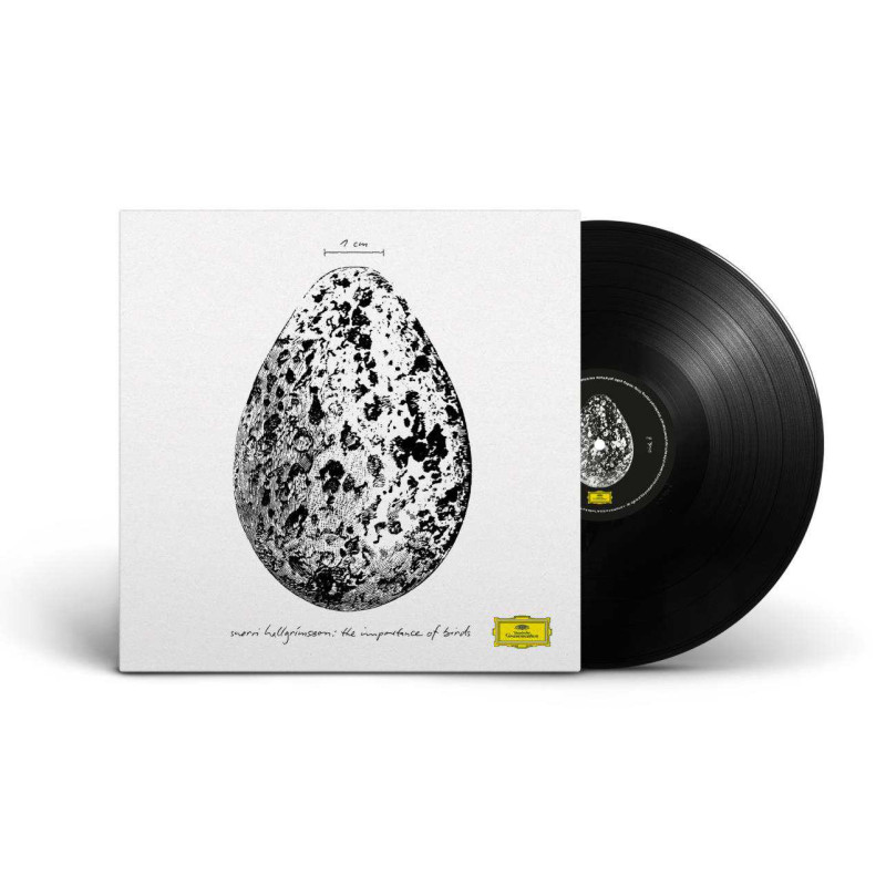 THE IMPORTANCE OF BIRDS