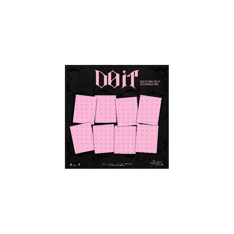 SKZ IT TAPE  DO IT'(ACCORDION) CD