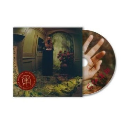 EVERYBODY SCREAM (LTD)