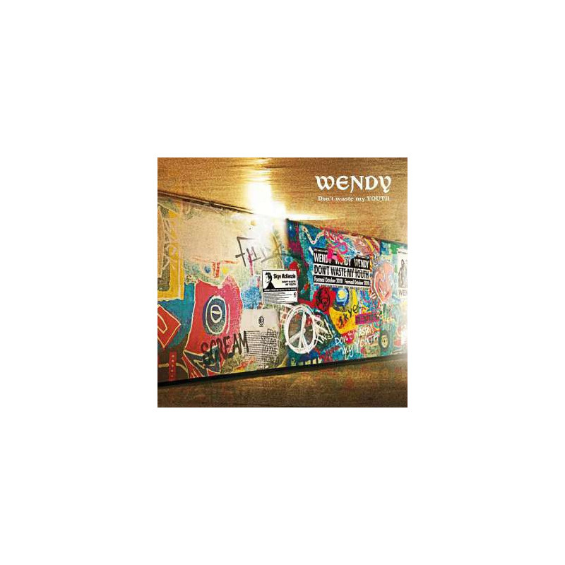 DON'T WASTE MY YOUTH