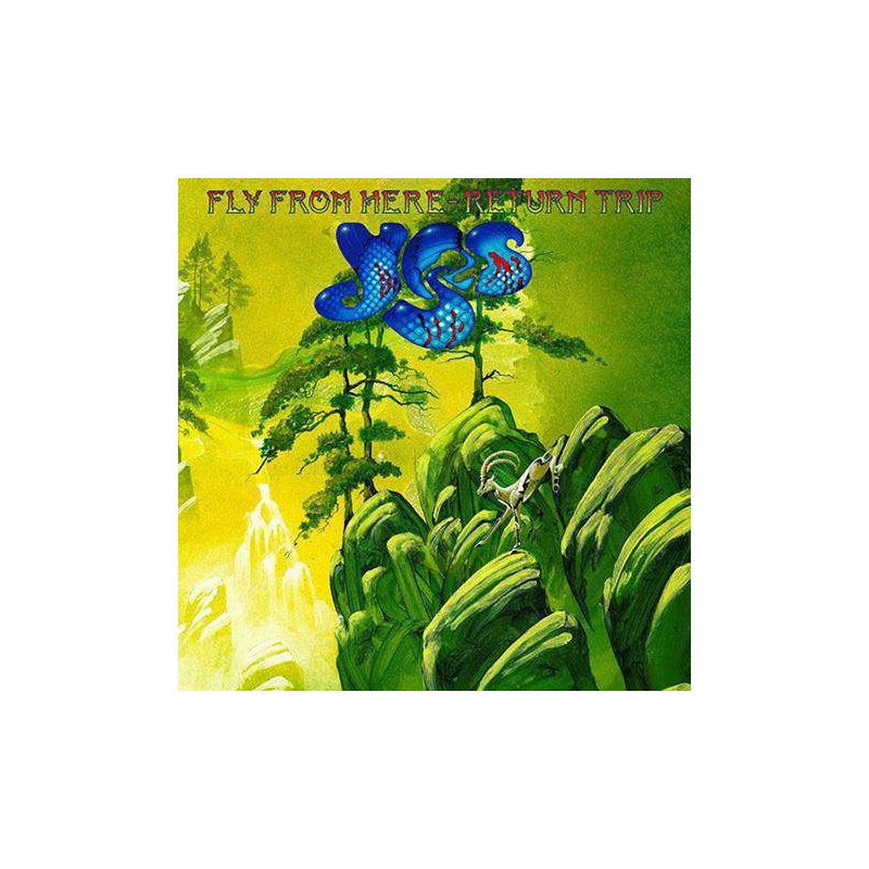 FLY FROM HERE (RETURN TRIP)