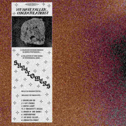 YOU HAVE FALLEN..,...