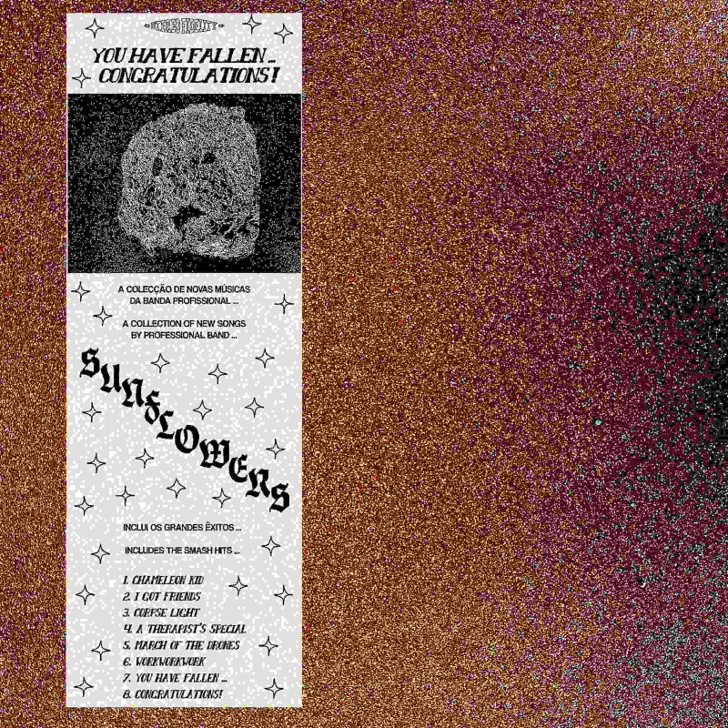 YOU HAVE FALLEN.., CONGRATULATIONS! (BON