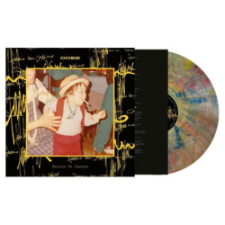 FACCIO UN CASINO (VINILE...