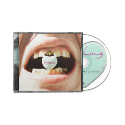 A SHORT HISTORY OF DECAY