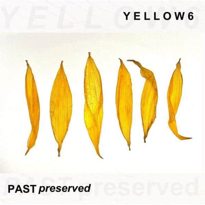 PAST PRESERVED (YELLOW VINYL)