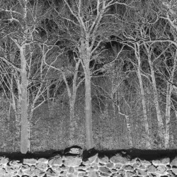 SUNSHINE AND BALANCE BEAMS...