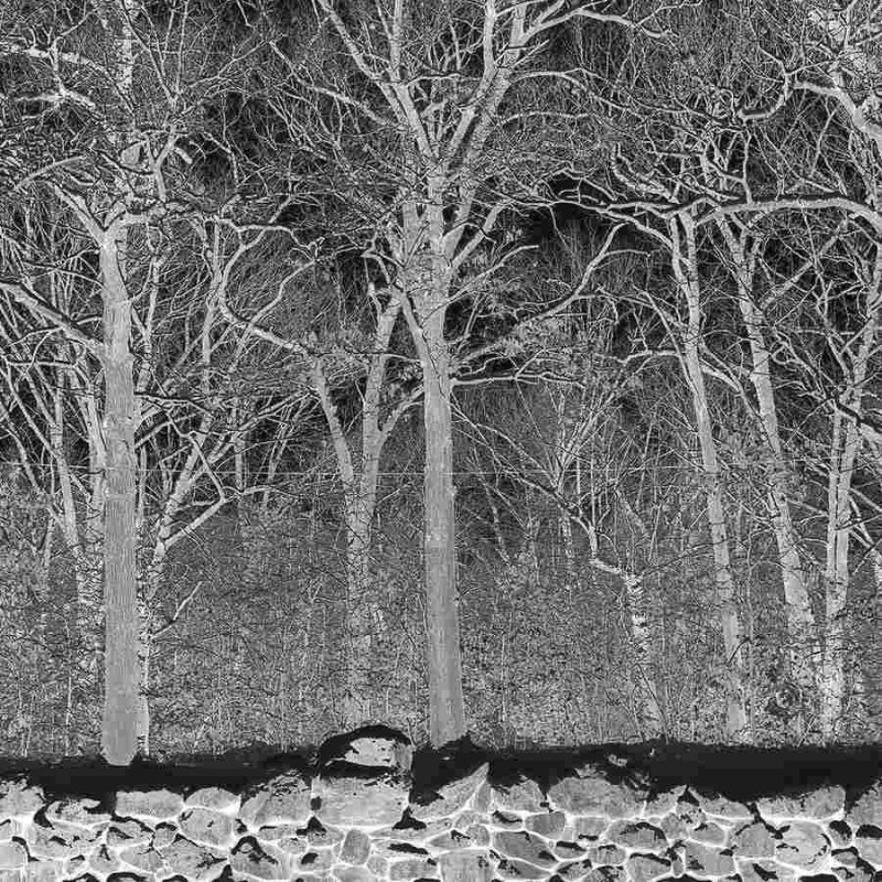 SUNSHINE AND BALANCE BEAMS (CLEAR VINYL)