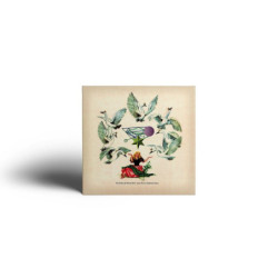 FALLEN BY WATCH BIRD...