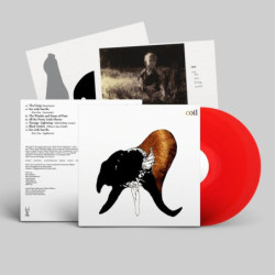 BLACK ANTLERS (CLEAR RED...