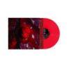 NOT HERE NOT GONE (TRANSPARENT RED VINYL
