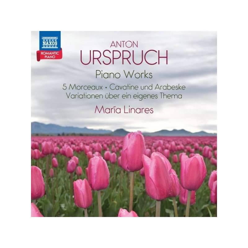 ROMANTIC PIANO, VOL. 6 PIANO WORKS