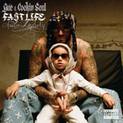 FASTLIFE 5:AUDIO LUXURY