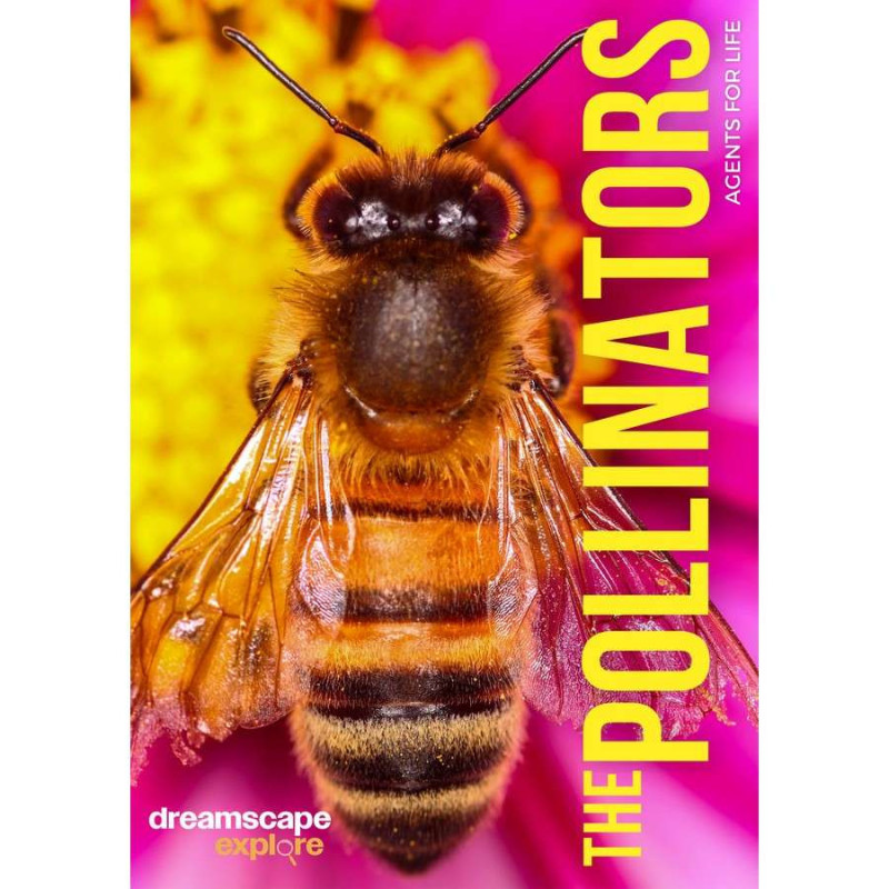 DREAMSCAPE EXPLORE: THEPOLLINATORS, AGEN