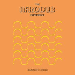 THE AFRODUB EXPERIENCE