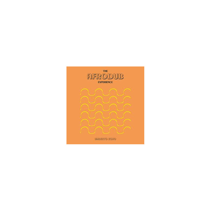 THE AFRODUB EXPERIENCE