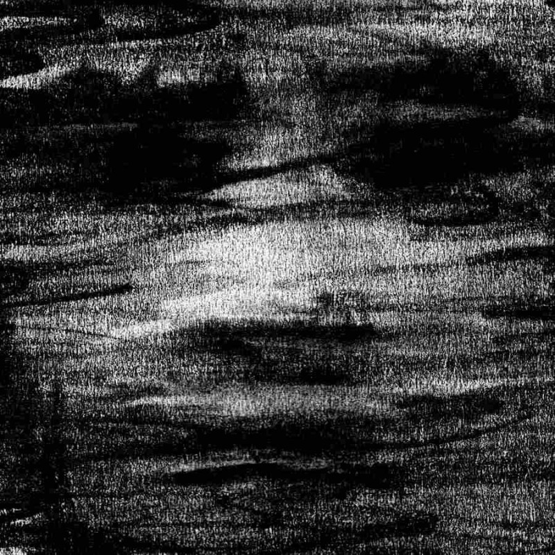 BIRDS DRINK MY BLOOD